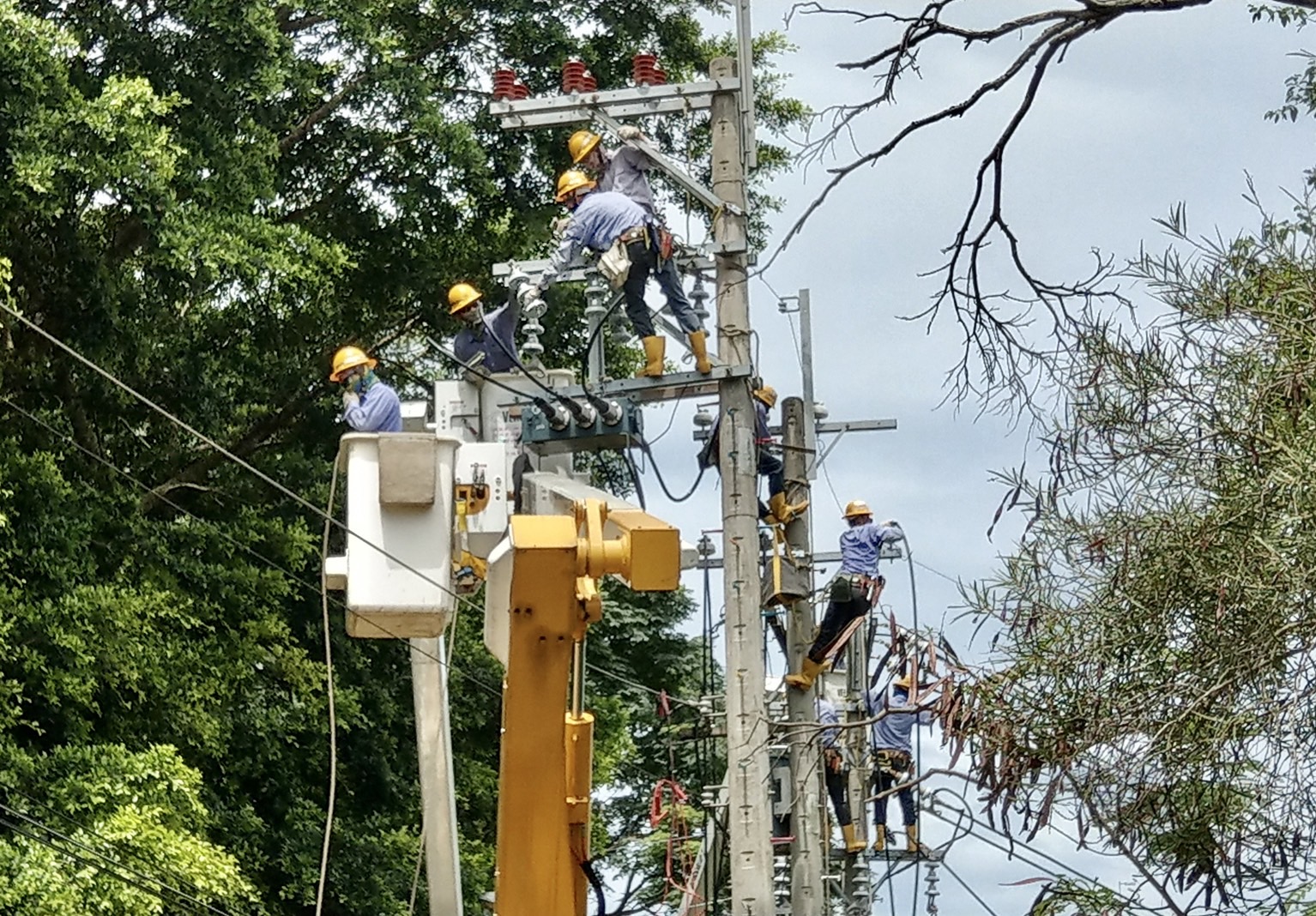 another picture of electricity infrastructure maintenance